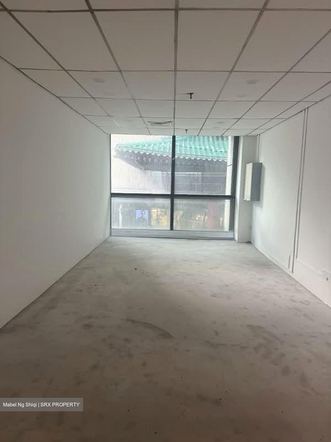 Lucky Plaza (D9), Shop House #567522691
